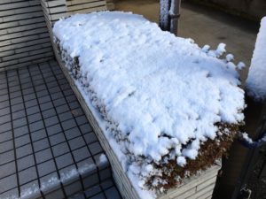 恵那市で積雪です