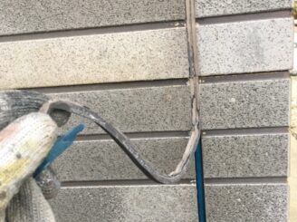 土岐市でタイル部分の外壁の塗り替え 目地打ち替え