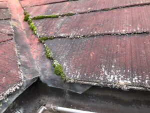 中津川市瀬戸、屋根棟板金にカビが発生