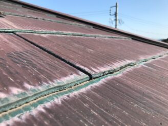 多見市で屋根外壁塗装 現調時 下見 家の状態 屋根の状態 塗り替え前 カビ コケ かび 苔 亀裂 ひび割れ 色褪せ 色落ち 色おち