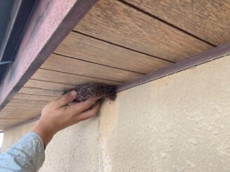 多治見市で平屋の外壁塗り替え塗装 ラジカルシリコンGH 外壁バイオ洗浄 高圧洗浄 高圧水洗浄 高圧洗浄機 カビ苔の発生 コケ ケレン 手作業
