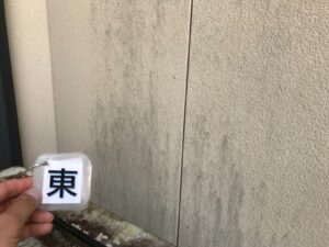 土岐市で外壁塗装　塗り替え工事　壁変色　汚れ　カビ　苔　コケ　現場調査　現調　下見　見積もり無料