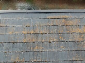 土岐市　屋根外壁塗装工事　塗り替え塗装　カビ　苔の発生　黄色い苔　色落ち　ハゲ　剥げ　退色　ひび割れ　軒天井汚れ　ドローン撮影　見積り無料　現場調査　劣化診断