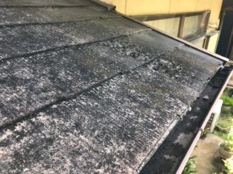多治見市 外壁塗装 塗り替え工事 屋根棟の積み替え 漆喰剝がれ 漆喰汚れ 棟積直し 軒天井剝がれ シリコン塗料 見積り無料 現地調査 プロタイムズ多治見店 目地ひび割れ 小庇 色の変体色 格子 色の退色 色落ち 玄関上屋根 カビ 苔の発生 樋 汚れ