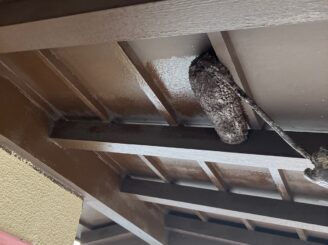 瀬戸市 屋根外壁塗装 玄関天井 塗り替え 多治見市 日成ホーム プロタイムズ多治見店 現調時 見積り無料