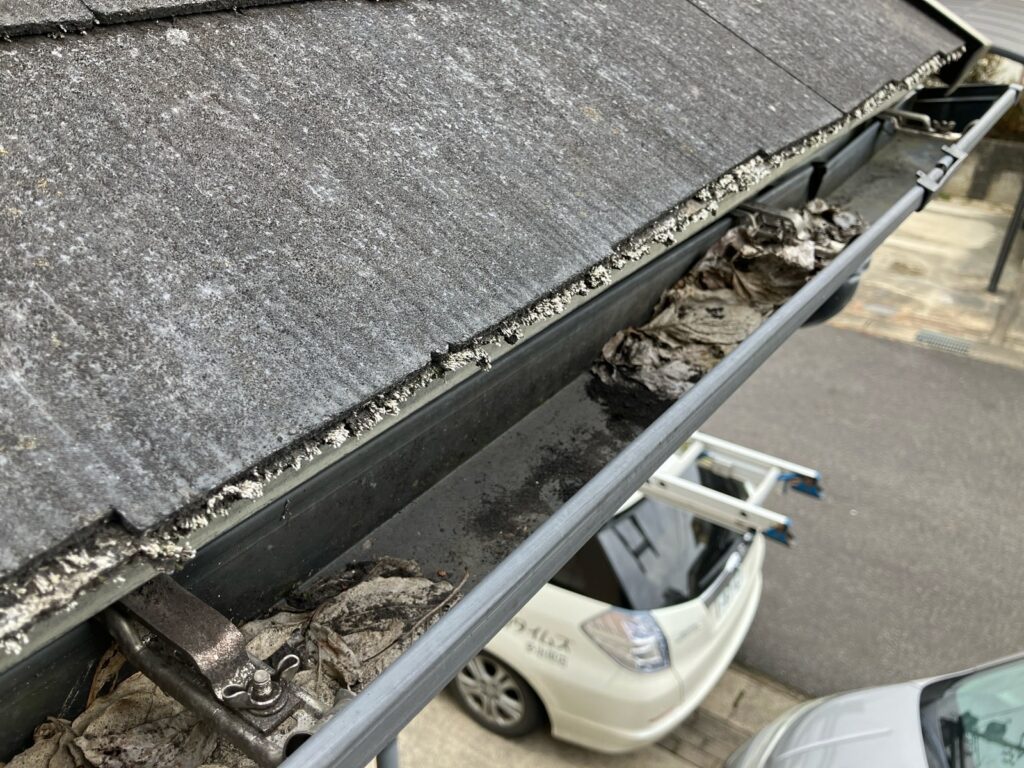 多治見市脇之島町　屋根劣化症状　樋　ゴミ　カビ　コケ