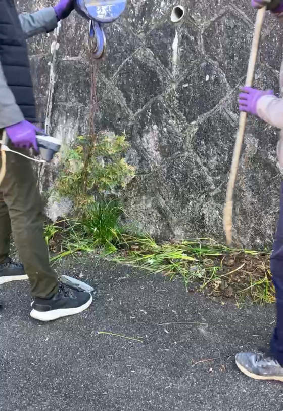 木の撤去 ユニック使用