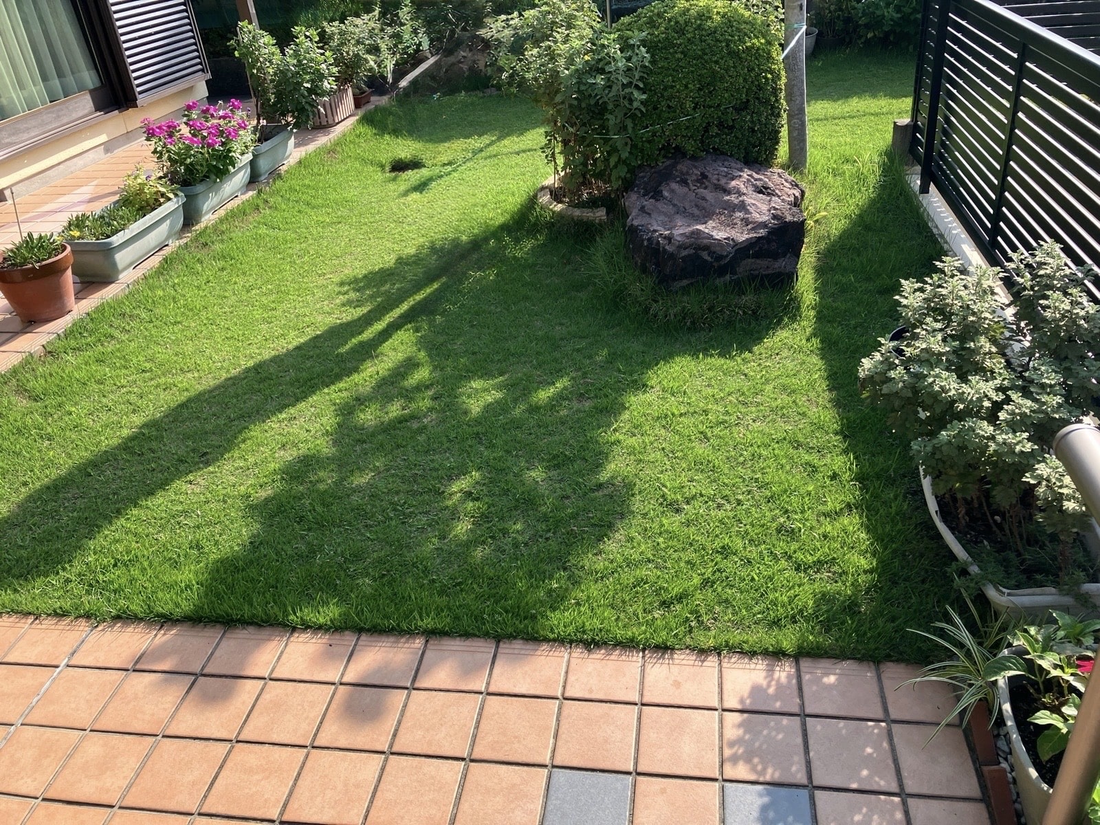 人工芝　雑草対策