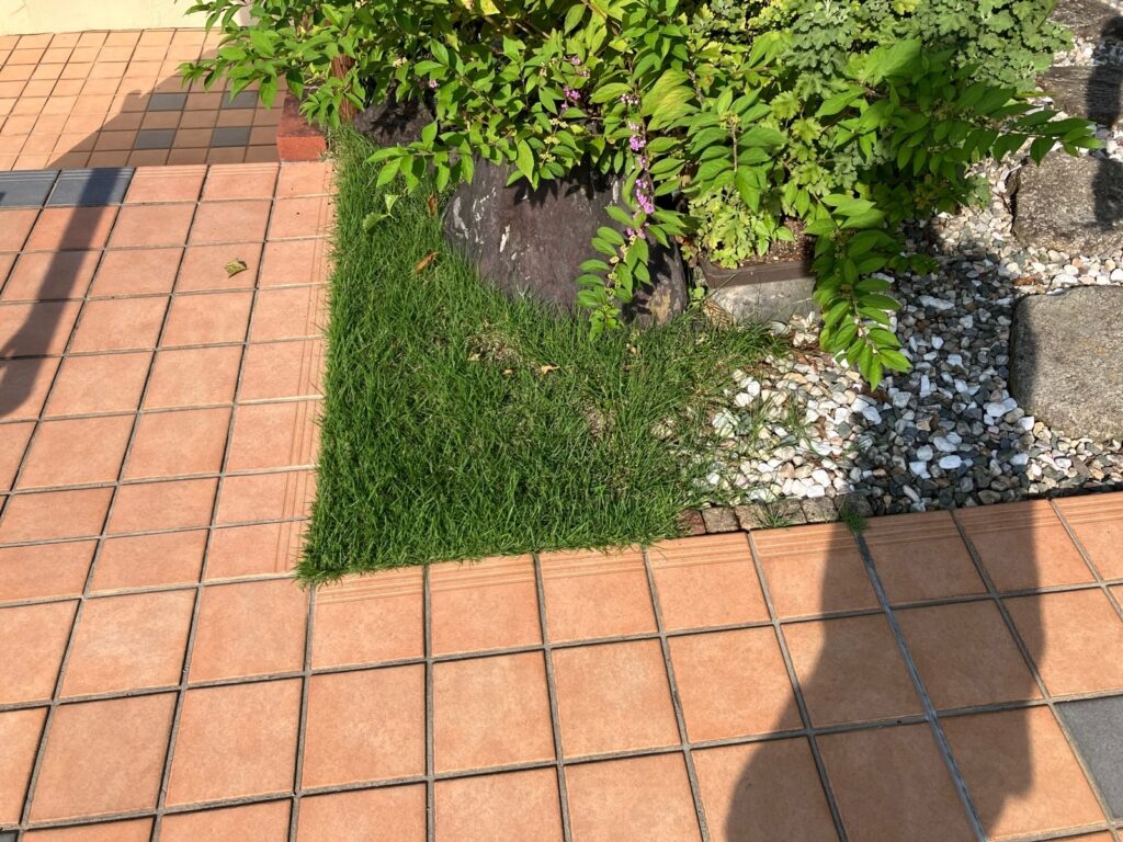 庭のお手入れ大変