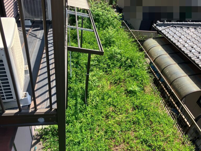 多治見市　雑草　庭