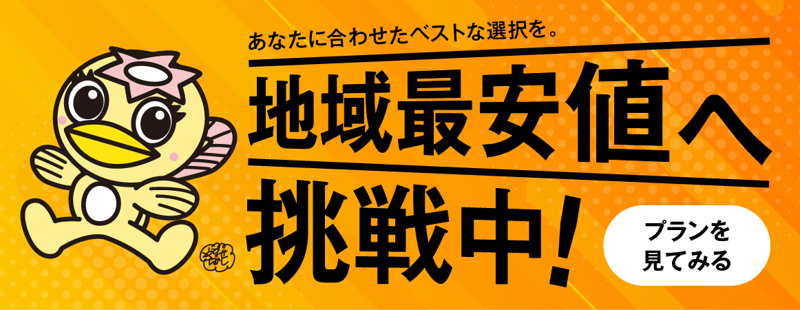 地域最安値へ挑戦中　プランを見てみる