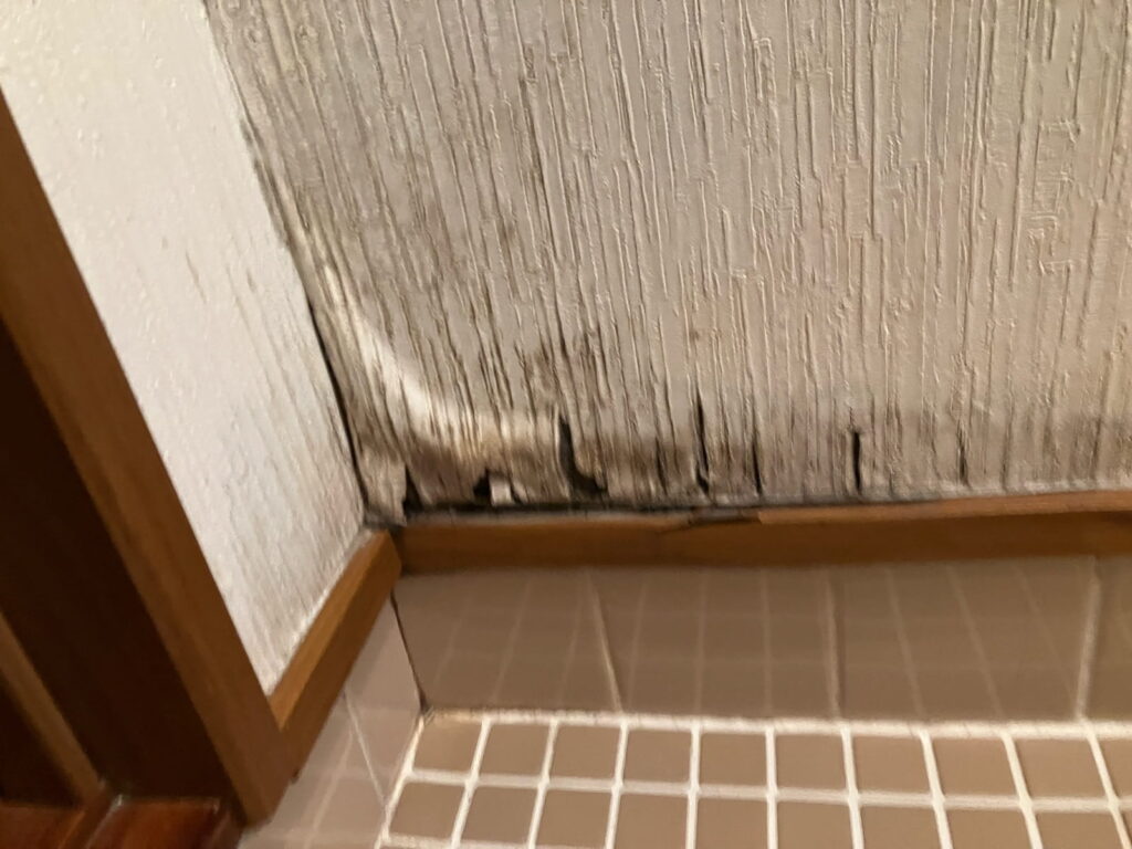 多治見市脇之島町　トイレ　壁　リフォーム工事前