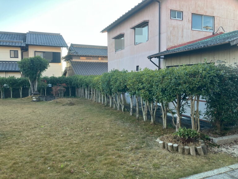 多治見市金岡町　庭木剪定工事　伐採工事　施工前