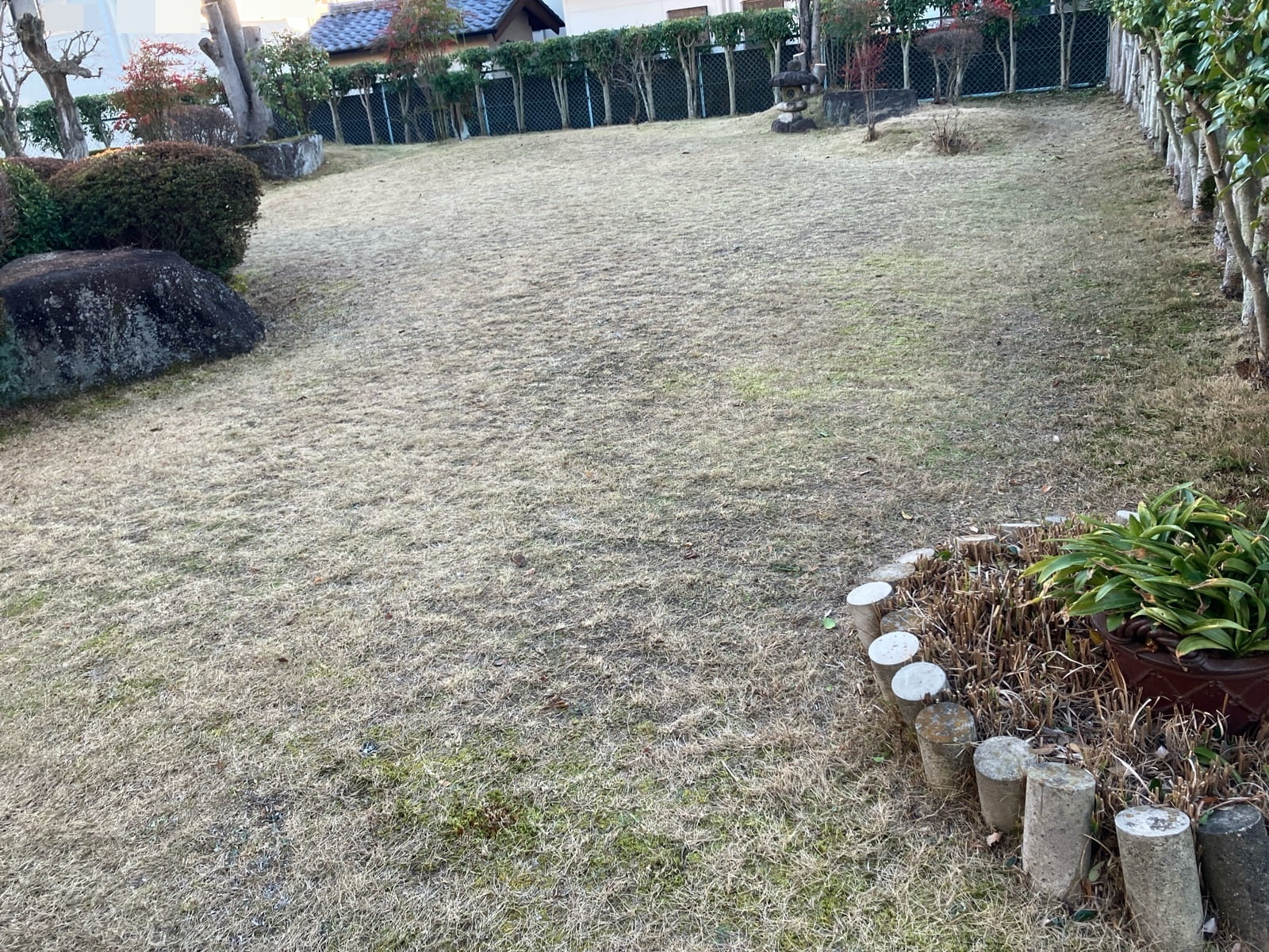 多治見市金岡町　庭木剪定工事　伐採工事　施工後