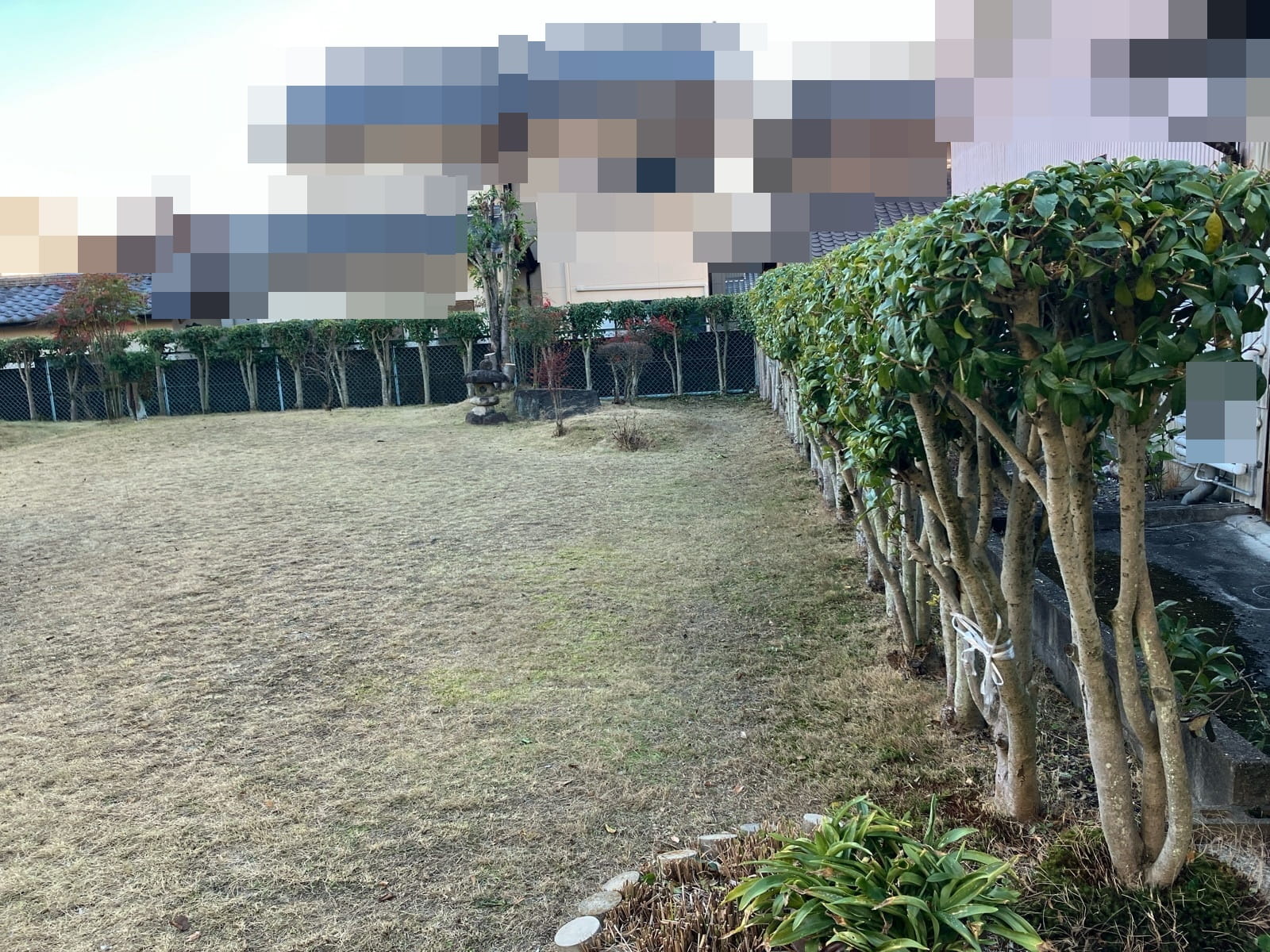 多治見市金岡町　庭木剪定工事　伐採工事　施工後