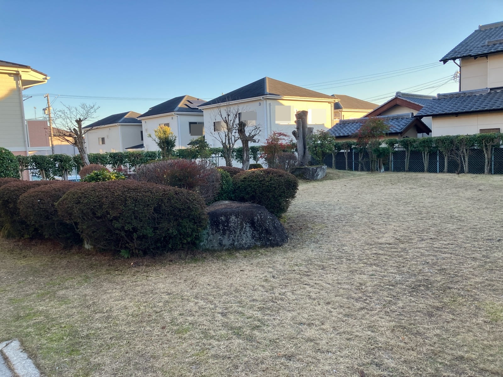 多治見市金岡町　庭木剪定工事　伐採工事