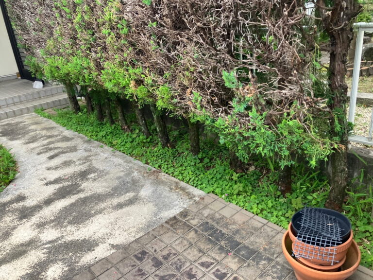 多治見市坂上町　目隠しフェンス取付け工事前　生垣