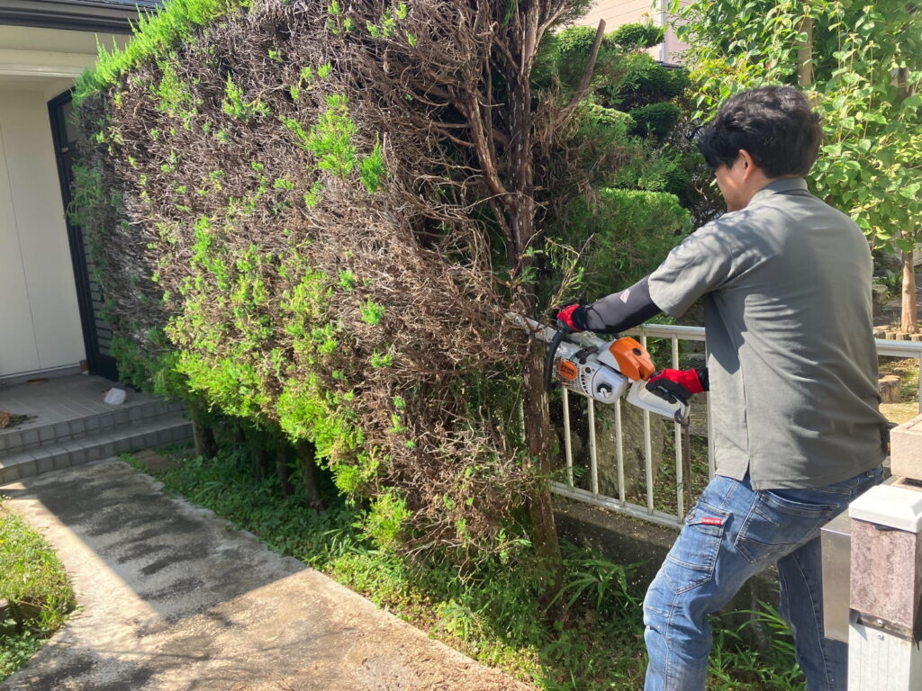多治見市坂上町 生垣撤去