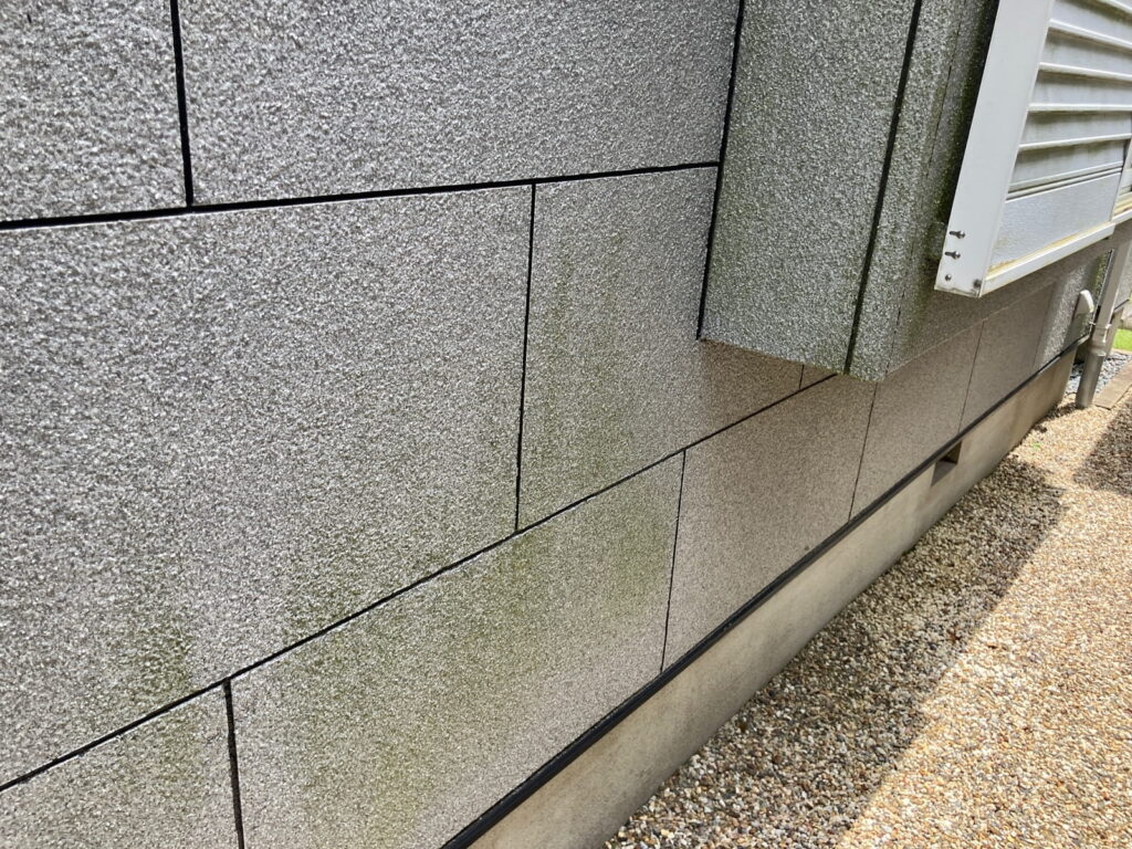 多治見市 外壁塗装 現調時 苔の発生